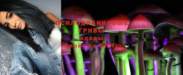 шишки Зерноград