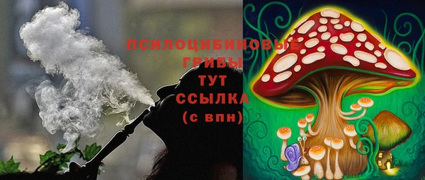 шишки Зерноград