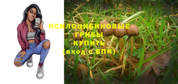 шишки Зерноград
