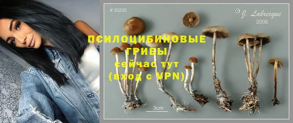 шишки Зерноград
